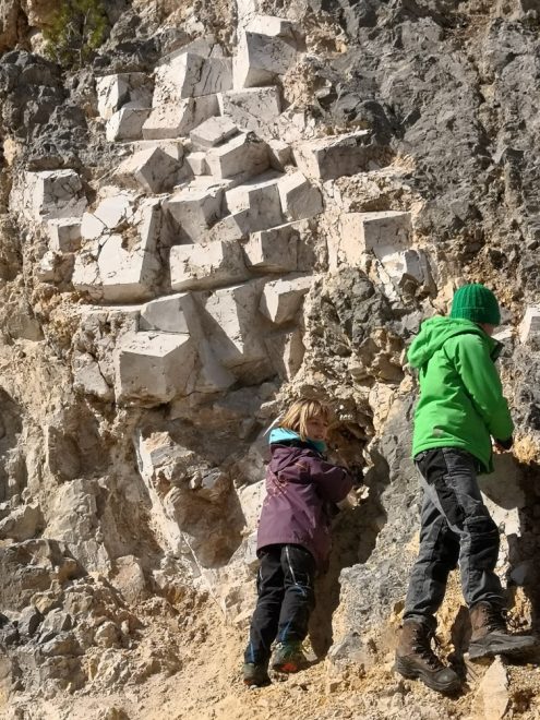 IMG_20200308_121228_resized_20200311_110239773