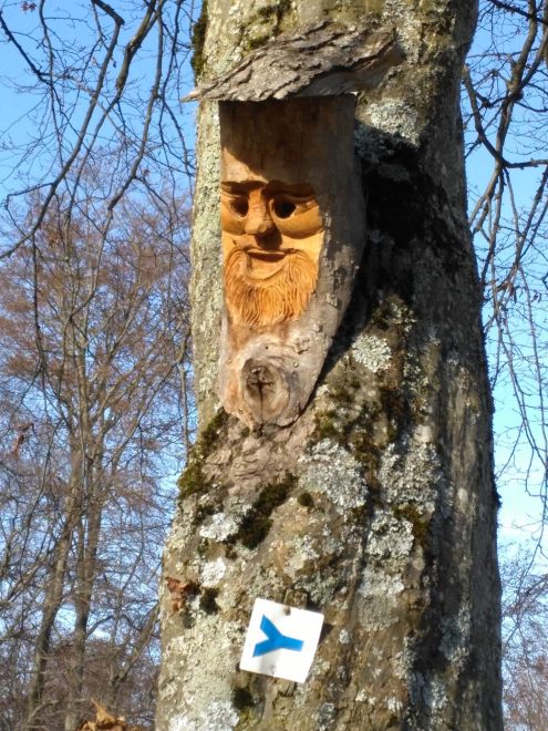 1b9e031b-5f64-4dcc-b4fb-4c7cc57567a4