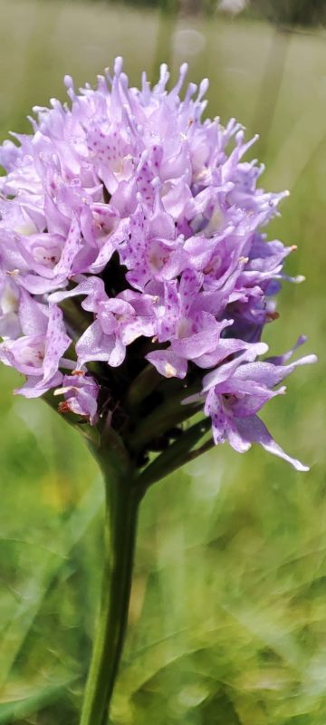 3ea0addf-864b-40cf-b564-f2ab8ea6fad5